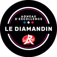 Logo diamandin noir 300x297 2